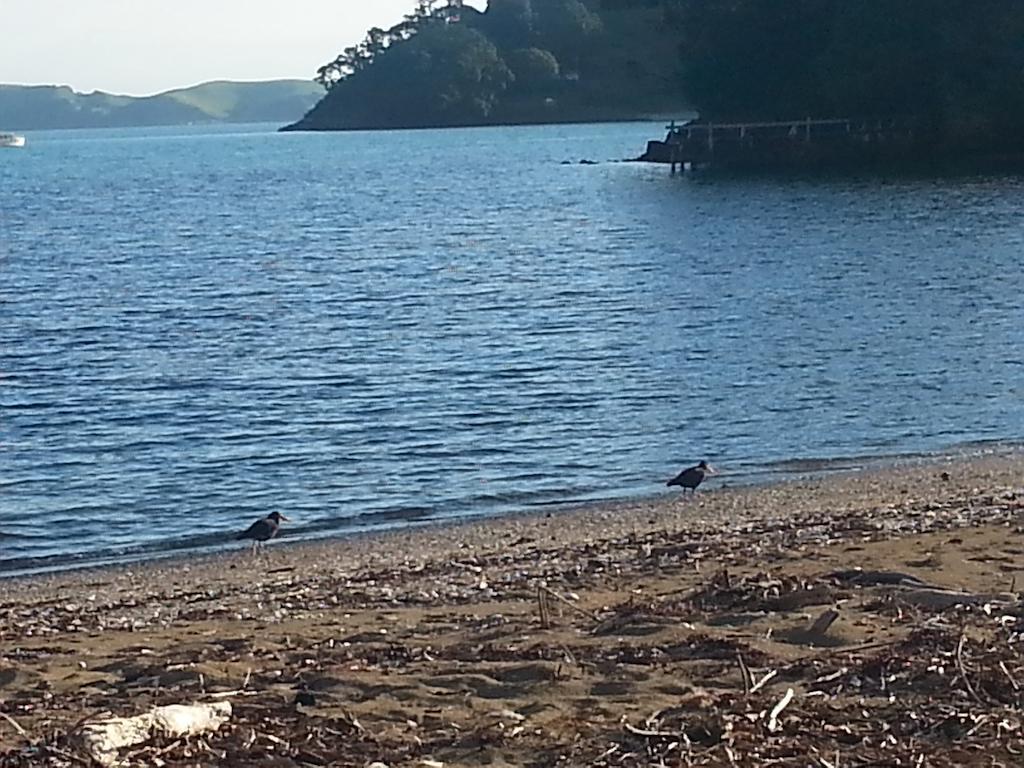Hotel Oamaru Bay Tourist Park Coromandel Esterno foto